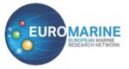 logo euromarine