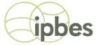 logo ipbes